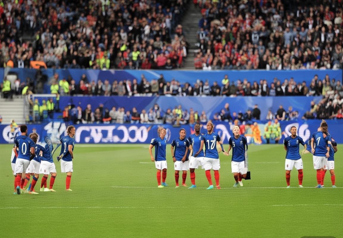 法国女足迎战奥地利：历史交锋与战术解析，展望比赛结果